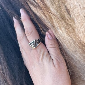MARS SILVER RING ブラック 19号 Institute Ring for House Mars From the Red Rising Series by Pierce
