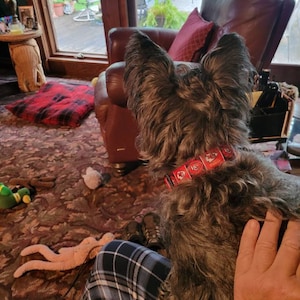 Maggie added a photo of their purchase