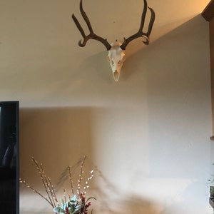 slhorse4 added a photo of their purchase