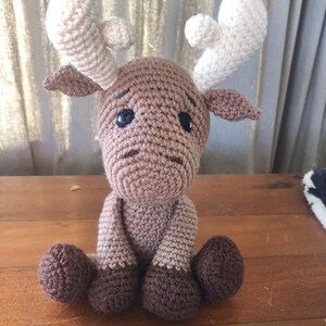 Kim added a photo of their purchase
