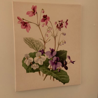 African Violets Printable, Vintage Flower Illustration, Botanical Wall ...