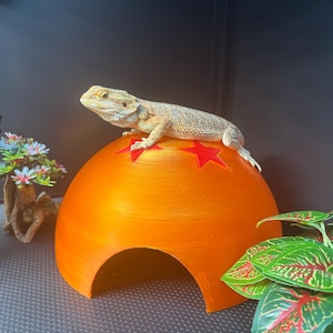 Rebekah added a photo of their purchase