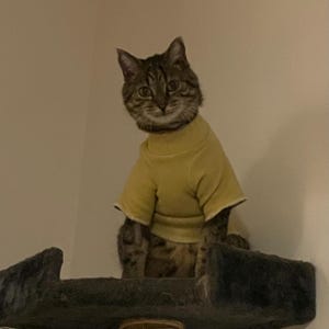 Melissa a ajouté une photo de son achat