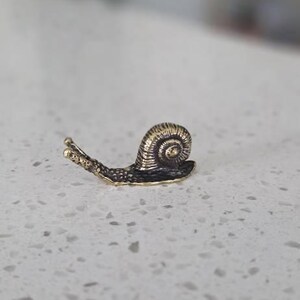 Ashley added a photo of their purchase