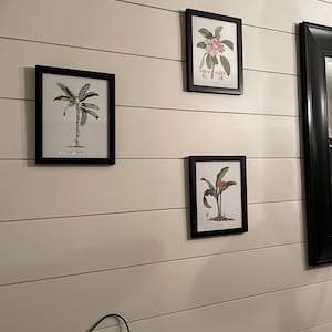 Jenna heeft een foto van de aankoop toegevoegd