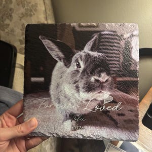 Kim added a photo of their purchase