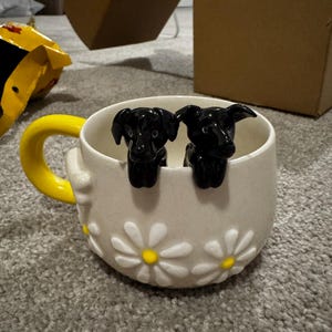 Cam ha añadido una foto de su compra