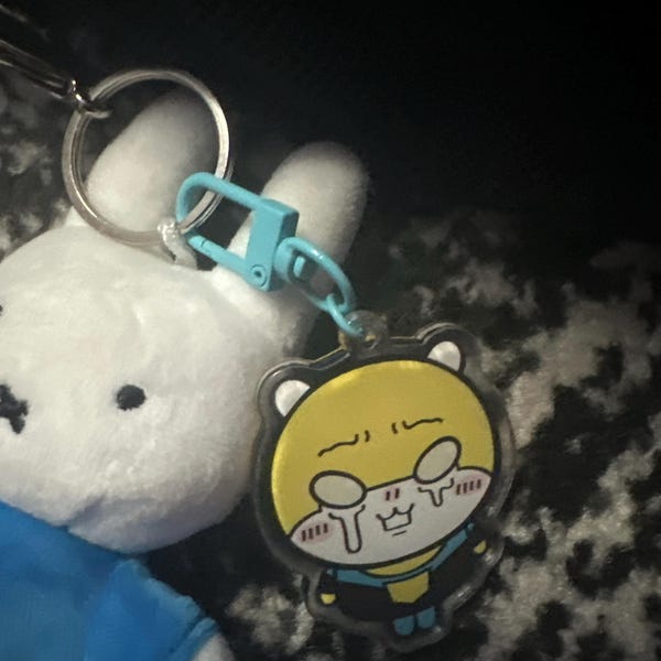 Chiikawa X Invincible Keychains - Etsy