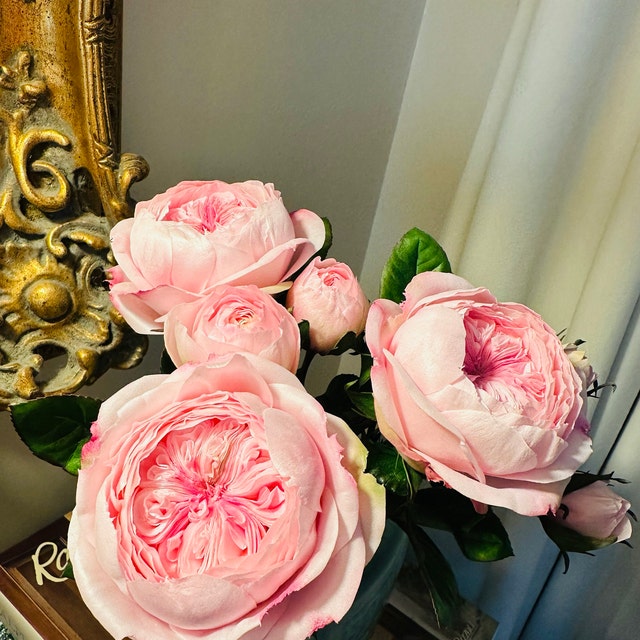 HANDMADE Peony Rose, Austin Style Floral Decor, English Garden