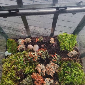 Librada added a photo of their purchase
