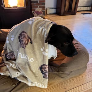 Natalie added a photo of their purchase