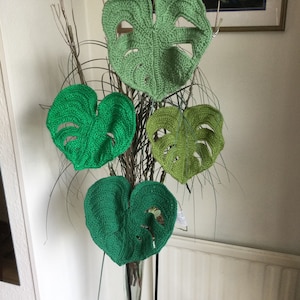 Penny added a photo of their purchase