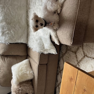 Kassandra added a photo of their purchase