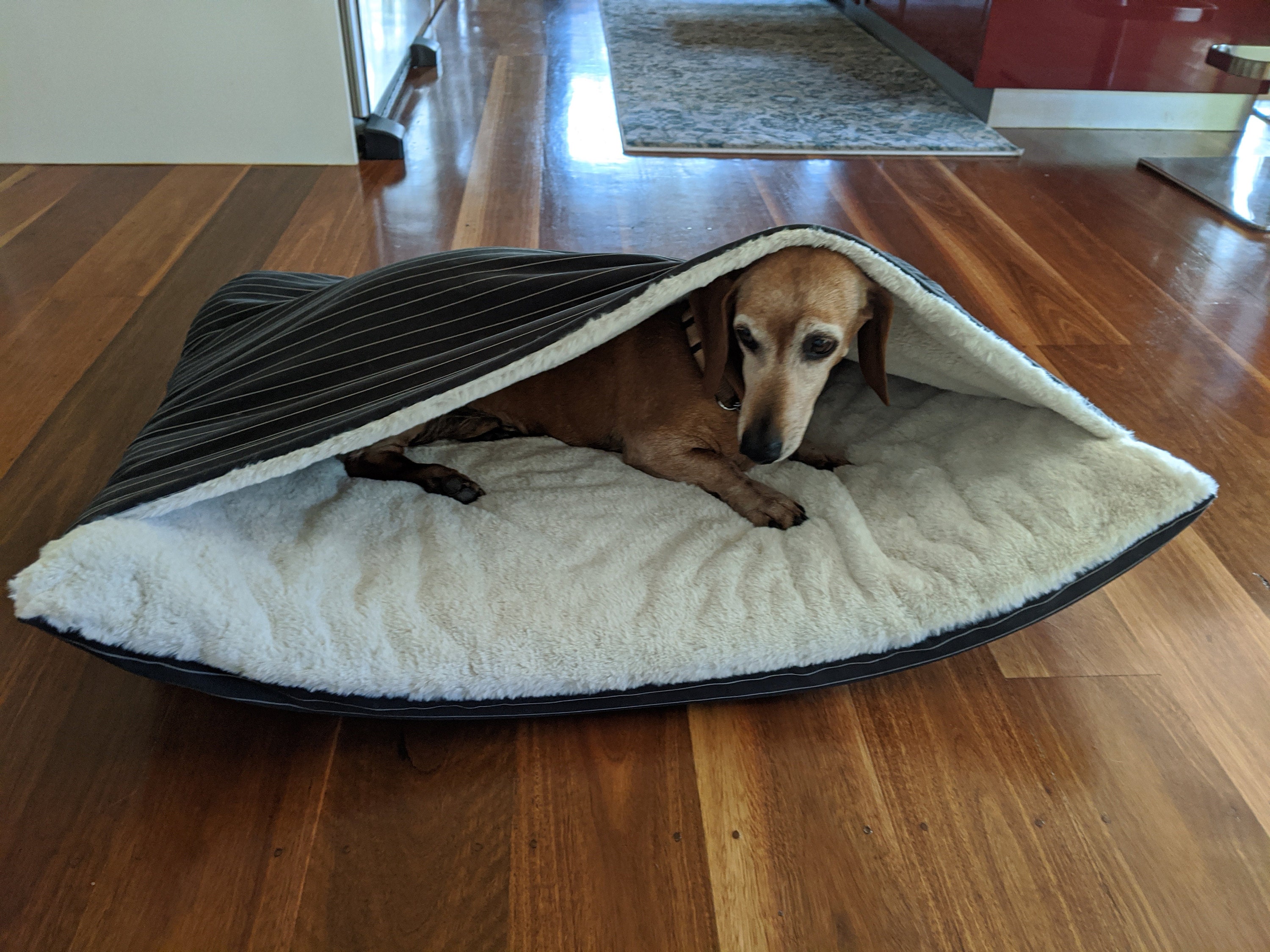 Cave dog bed, Dog bed cover, Whippets bed, Snuggle bed. 92cm x 70cm.