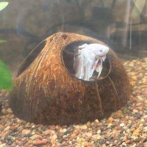 Keshia added a photo of their purchase