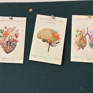 Nihaan added a photo of their purchase