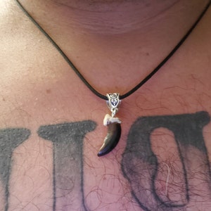 Mario adicionaram uma foto da sua compra