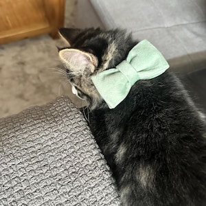 Laura added a photo of their purchase