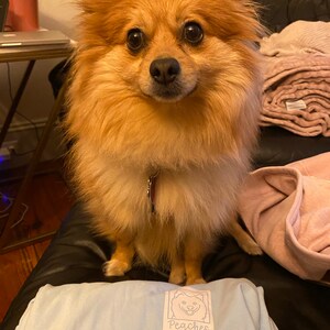 Abbey added a photo of their purchase