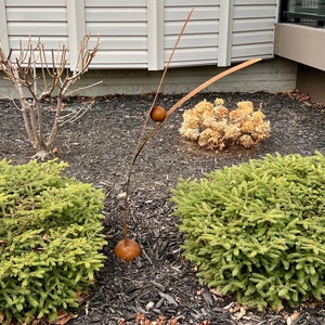 Vickie adicionaram uma foto da sua compra