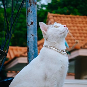 THUN added a photo of their purchase