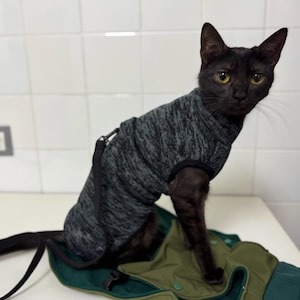 HOMELEVEL Felpa Donna con Tasca per Gatto - Felpa con Cappuccio Donna Uomo - Comoda e Calda Invernale - Design con Orecchie - Tasca Gatti e Piccoli Cani - Taglia L