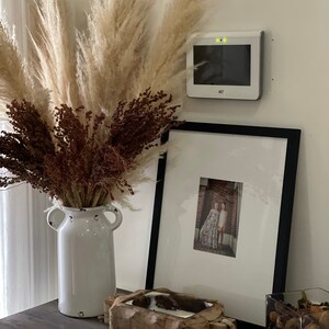Emily added a photo of their purchase