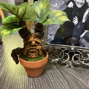 Comprador de Etsy ha añadido una foto de su compra