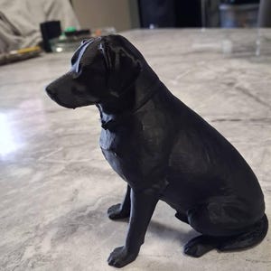 Tess ha añadido una foto de su compra