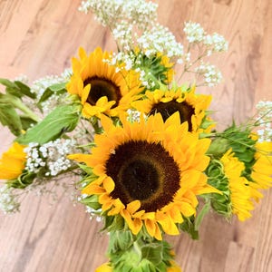 Christine added a photo of their purchase
