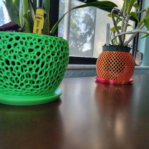 Aliza added a photo of their purchase