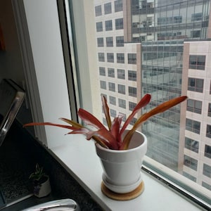 Karen added a photo of their purchase