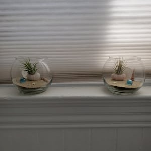 Vivien added a photo of their purchase