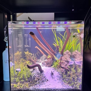 Aiden added a photo of their purchase