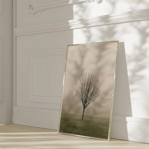 P added a photo of their purchase