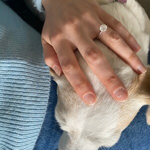 Julie heeft een foto van de aankoop toegevoegd