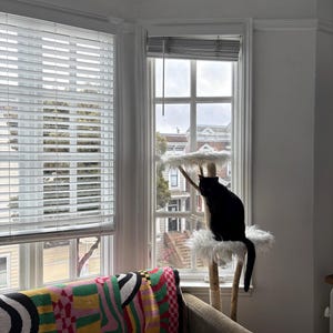 cat scratcher /  cat tree , tall cat scratcher, cat toys, cat shelves, cat furniture, cat tower