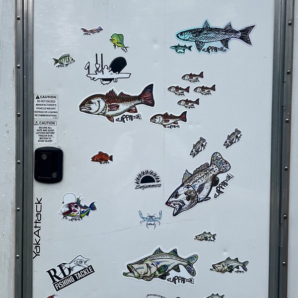 Barracuda Sticker, 10 Inch - Etsy