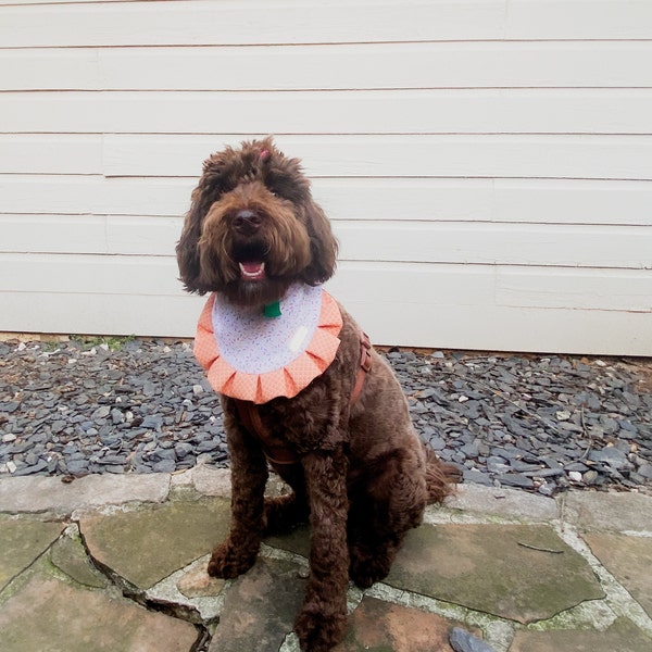 Puppachino Sprinkles | Snap Closure Dog Bandana, Birthday Dog Bandana ...