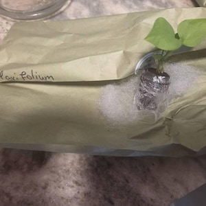 George a ajouté une photo de son achat
