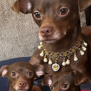 Tamaja added a photo of their purchase
