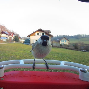 Vincent hat ein Foto des gekauften Artikels hinzugefügt
