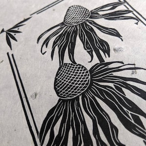 Small Cornflower Himalayan Petal Paper 7.5 X 9.5 Inches - Etsy