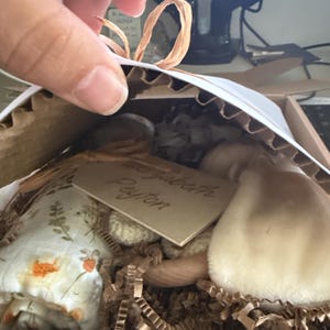Etsy buyer added a photo of their purchase