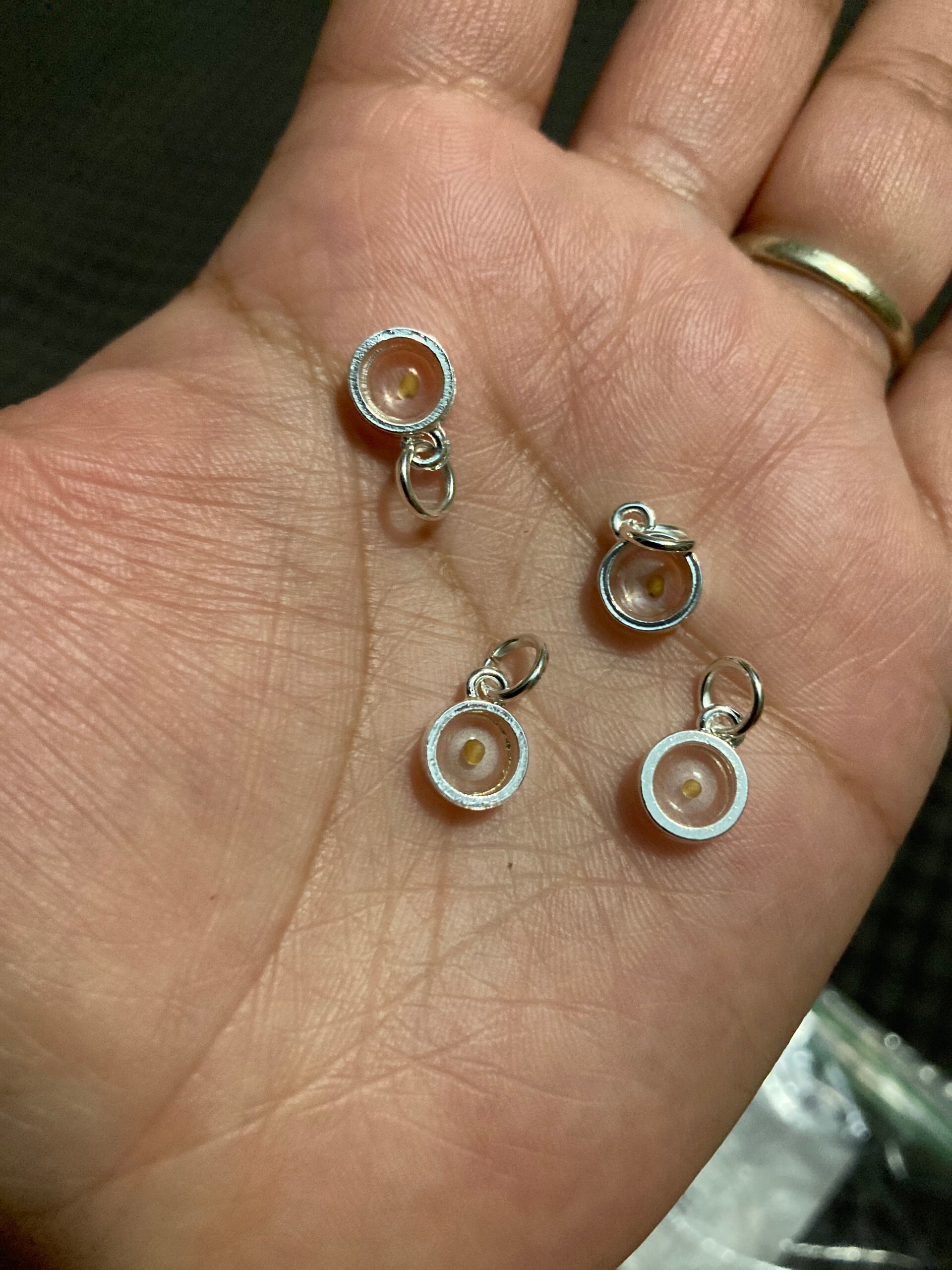 Mustard Seed charms,  silver mustard seed charms,  gold mustard seed charms, real mustard seed charm, faith charms, tiny mustard seed charms