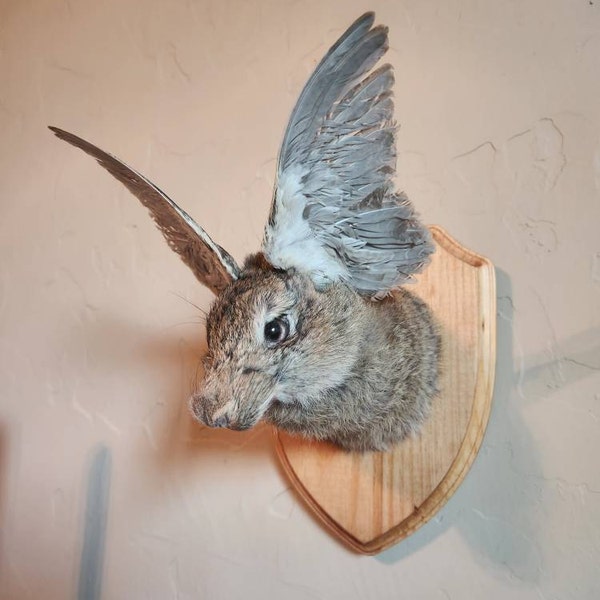 Lucky Rabbit Foot Keychain Charm, Midnight Blue, Real Rabbit Foot. - Etsy