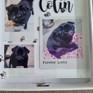 Tracy a ajouté une photo de son achat