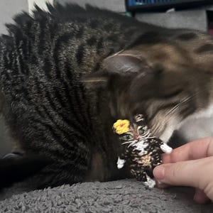 Etsy buyer added a photo of their purchase