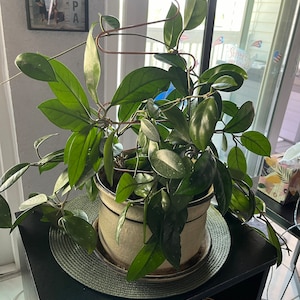 Carol added a photo of their purchase