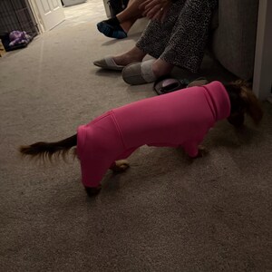 ミニチュア・ダックスフンド用ネオプレン製ロンパース：伸縮性のある犬